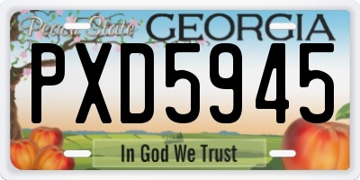 GA license plate PXD5945