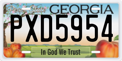 GA license plate PXD5954