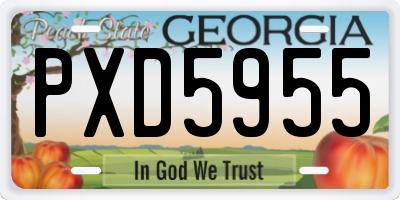 GA license plate PXD5955