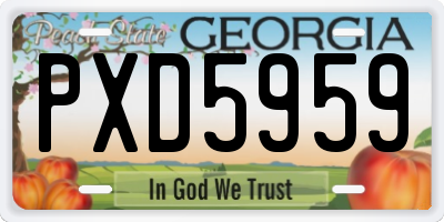 GA license plate PXD5959
