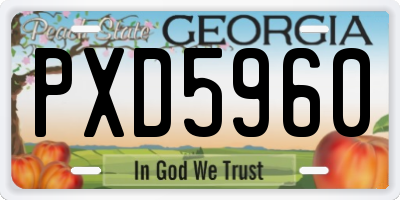 GA license plate PXD5960