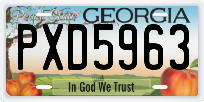 GA license plate PXD5963