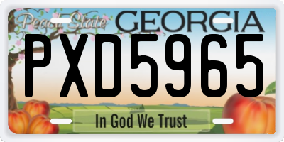 GA license plate PXD5965