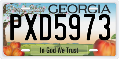 GA license plate PXD5973
