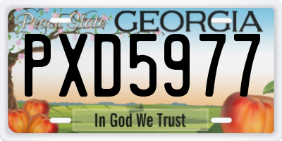 GA license plate PXD5977