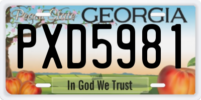GA license plate PXD5981