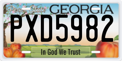 GA license plate PXD5982