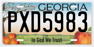 GA license plate PXD5983