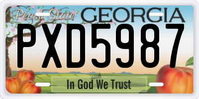 GA license plate PXD5987