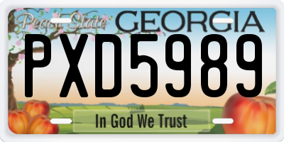 GA license plate PXD5989