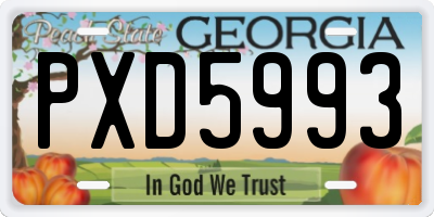 GA license plate PXD5993