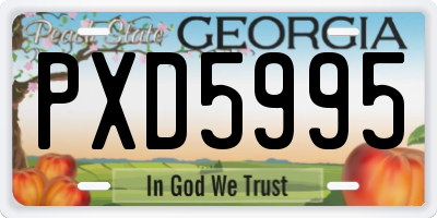 GA license plate PXD5995