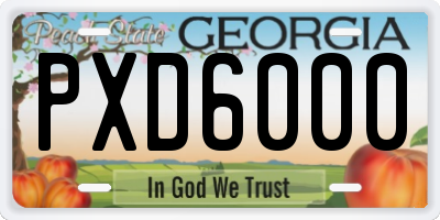 GA license plate PXD6000