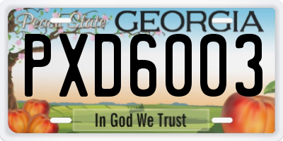 GA license plate PXD6003