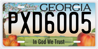 GA license plate PXD6005