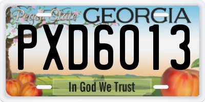 GA license plate PXD6013