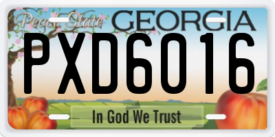 GA license plate PXD6016