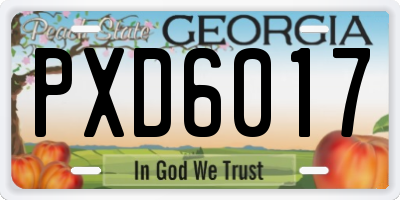 GA license plate PXD6017