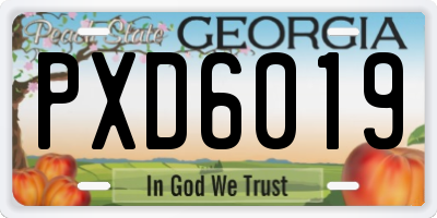 GA license plate PXD6019