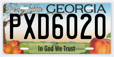 GA license plate PXD6020