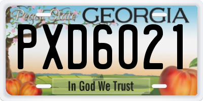 GA license plate PXD6021