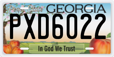 GA license plate PXD6022