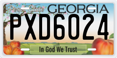 GA license plate PXD6024