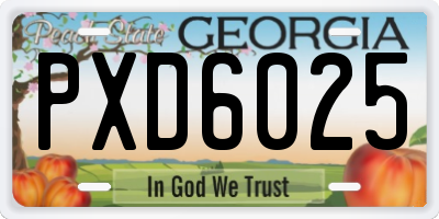 GA license plate PXD6025