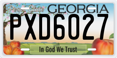 GA license plate PXD6027