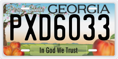 GA license plate PXD6033