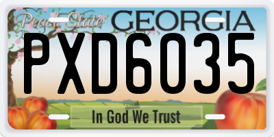 GA license plate PXD6035