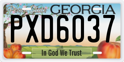 GA license plate PXD6037
