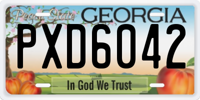 GA license plate PXD6042