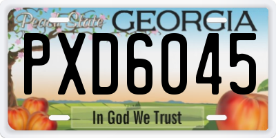 GA license plate PXD6045