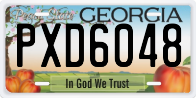 GA license plate PXD6048