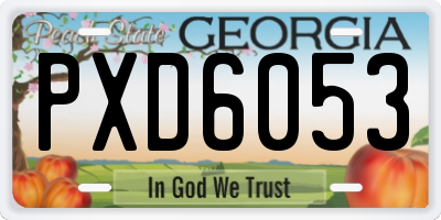 GA license plate PXD6053