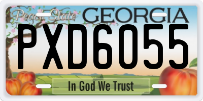 GA license plate PXD6055
