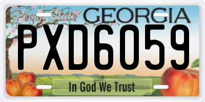 GA license plate PXD6059