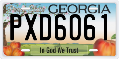 GA license plate PXD6061