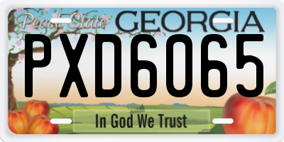 GA license plate PXD6065
