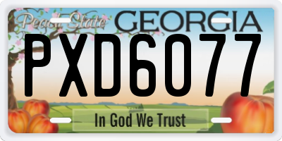 GA license plate PXD6077