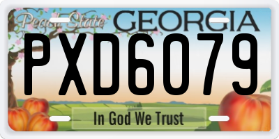 GA license plate PXD6079