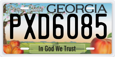 GA license plate PXD6085