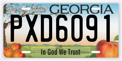 GA license plate PXD6091