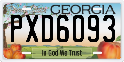 GA license plate PXD6093