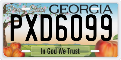 GA license plate PXD6099