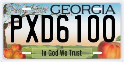 GA license plate PXD6100