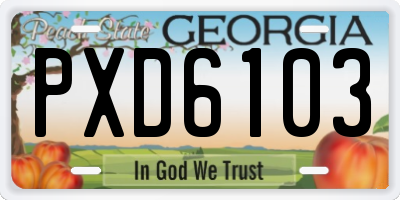 GA license plate PXD6103