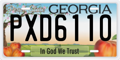 GA license plate PXD6110