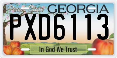 GA license plate PXD6113